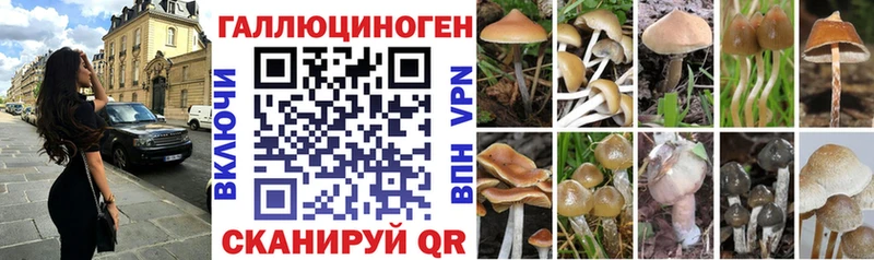 где купить наркотик  Обь  блэк спрут ССЫЛКА  Галлюциногенные грибы MAGIC MUSHROOMS 